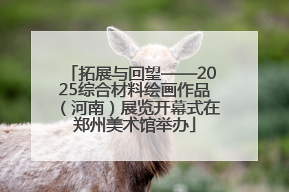 拓展与回望——2025综合材料绘画作品（河南）展览开幕式在郑州美术馆举办