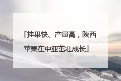 挂果快、产量高，陕西苹果在中亚茁壮成长