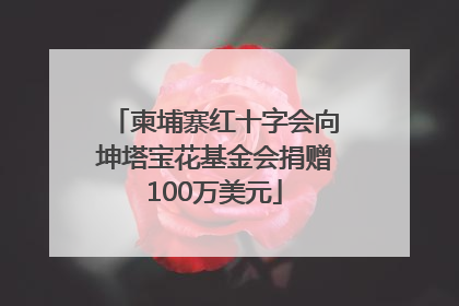 柬埔寨红十字会向坤塔宝花基金会捐赠100万美元