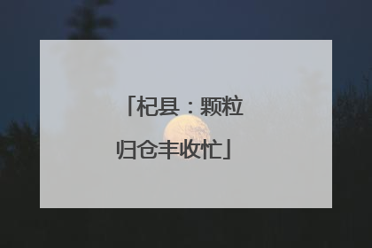 杞县：颗粒归仓丰收忙