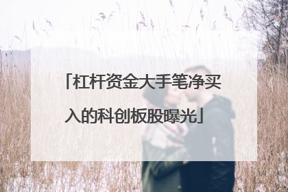 杠杆资金大手笔净买入的科创板股曝光