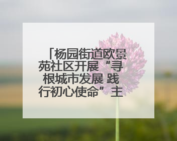 杨园街道欧景苑社区开展“寻根城市发展 践行初心使命”主题党日活动