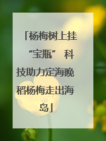杨梅树上挂“宝瓶” 科技助力定海晚稻杨梅走出海岛