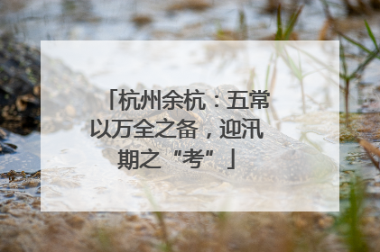 杭州余杭：五常以万全之备，迎汛期之“考”