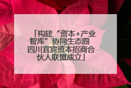 构建“资本+产业智库”协同生态圈 四川宜宾资本招商合伙人联盟成立