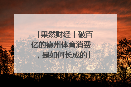 果然财经丨破百亿的德州体育消费，是如何长成的