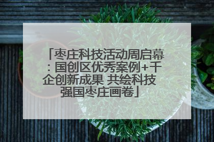 枣庄科技活动周启幕：国创区优秀案例+千企创新成果 共绘科技强国枣庄画卷