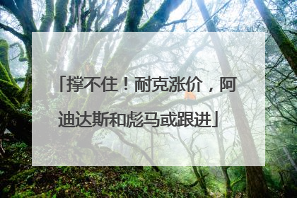 撑不住！耐克涨价，阿迪达斯和彪马或跟进