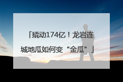 撬动174亿！龙岩连城地瓜如何变“金瓜”