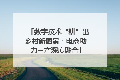 数字技术“耕”出乡村新图景：电商助力三产深度融合