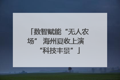 数智赋能“无人农场” 海州夏收上演“科技丰景”