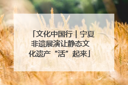 文化中国行｜宁夏 非遗展演让静态文化遗产“活”起来
