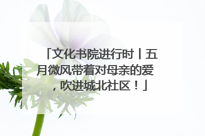 文化书院进行时丨五月微风带着对母亲的爱，吹进城北社区！