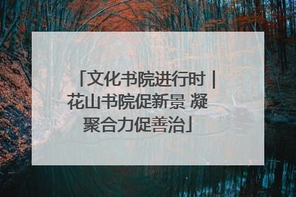 文化书院进行时｜花山书院促新景 凝聚合力促善治
