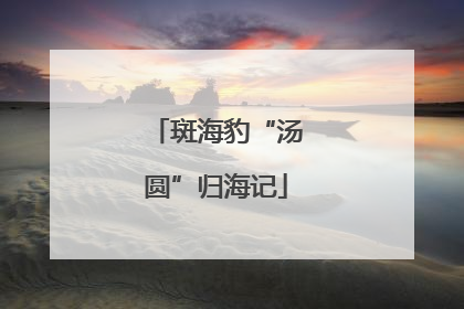 斑海豹“汤圆”归海记
