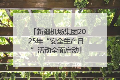 新疆机场集团2025年“安全生产月”活动全面启动