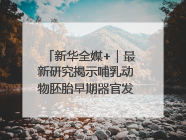 新华全媒+｜最新研究揭示哺乳动物胚胎早期器官发育“密码”
