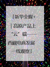 新华全媒+｜高原产品上“云”端——西藏电商发展一线观察