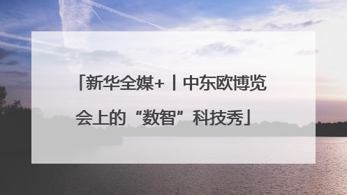 新华全媒+丨中东欧博览会上的“数智”科技秀