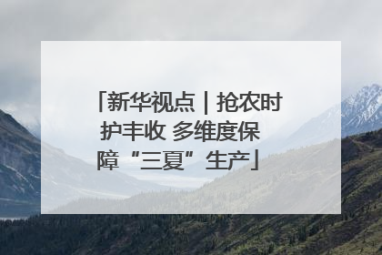 新华视点｜抢农时 护丰收 多维度保障“三夏”生产