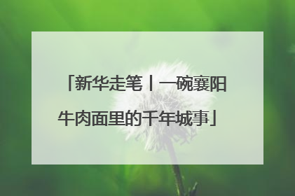 新华走笔丨一碗襄阳牛肉面里的千年城事