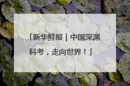 新华鲜报｜中国深渊科考，走向世界！