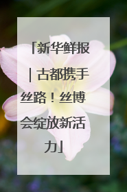 新华鲜报｜古都携手丝路！丝博会绽放新活力