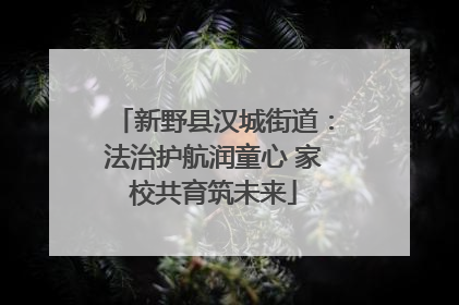 新野县汉城街道：法治护航润童心 家校共育筑未来