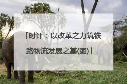 时评：以改革之力筑铁路物流发展之基(图)