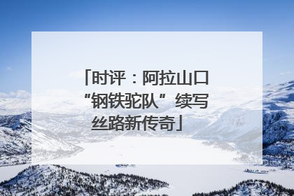 时评：阿拉山口“钢铁驼队”续写丝路新传奇