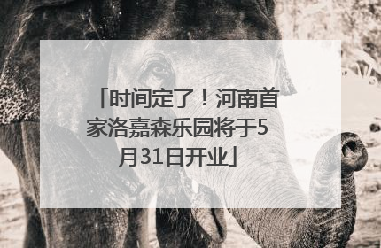 时间定了！河南首家洛嘉森乐园将于5月31日开业