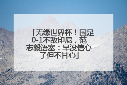 无缘世界杯！国足0-1不敌印尼，范志毅语塞：早没信心了但不甘心