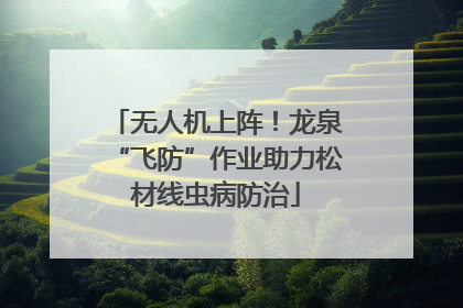 无人机上阵！龙泉“飞防”作业助力松材线虫病防治