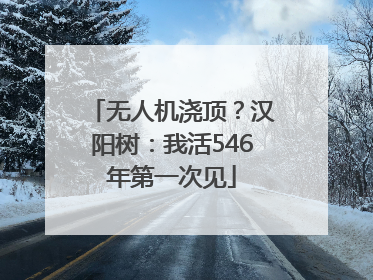 无人机浇顶？汉阳树：我活546年第一次见