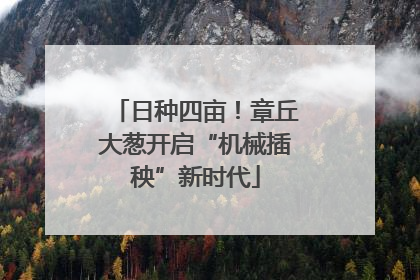 日种四亩！章丘大葱开启“机械插秧”新时代