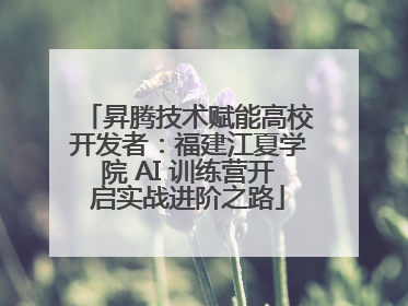 昇腾技术赋能高校开发者：福建江夏学院 AI 训练营开启实战进阶之路