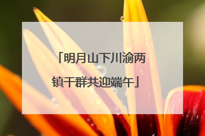 明月山下川渝两镇干群共迎端午