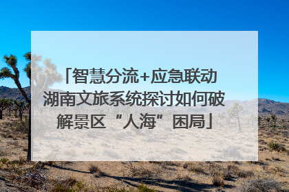 智慧分流+应急联动 湖南文旅系统探讨如何破解景区“人海”困局