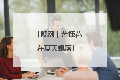 晚潮｜苦楝花在夏天飘落