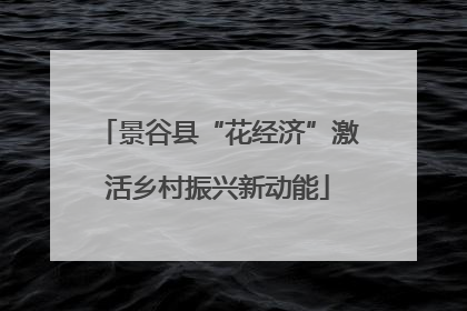景谷县“花经济”激活乡村振兴新动能