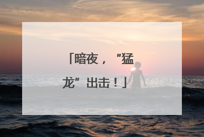 暗夜，“猛龙”出击！