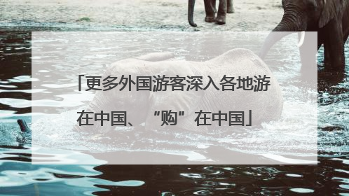 更多外国游客深入各地游在中国、“购”在中国