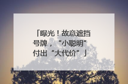 曝光！故意遮挡号牌，“小聪明”付出“大代价”