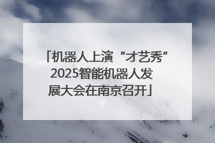 机器人上演“才艺秀” 2025智能机器人发展大会在南京召开