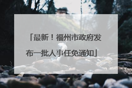 最新！福州市政府发布一批人事任免通知