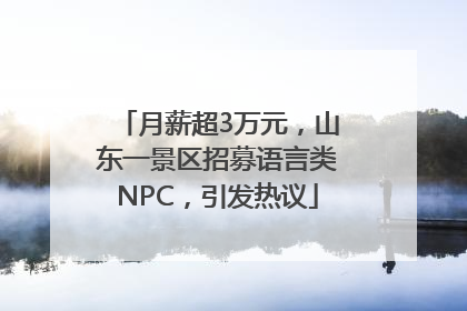 月薪超3万元，山东一景区招募语言类NPC，引发热议