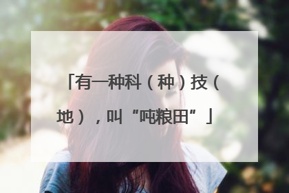 有一种科（种）技（地），叫“吨粮田”