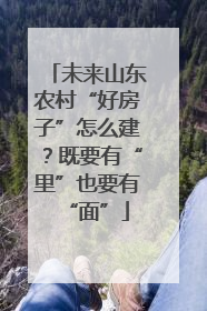 未来山东农村“好房子”怎么建？既要有“里”也要有“面”