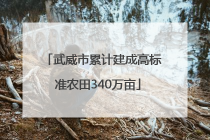 武威市累计建成高标准农田340万亩