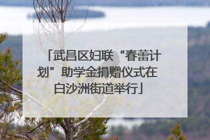 武昌区妇联“春蕾计划”助学金捐赠仪式在白沙洲街道举行